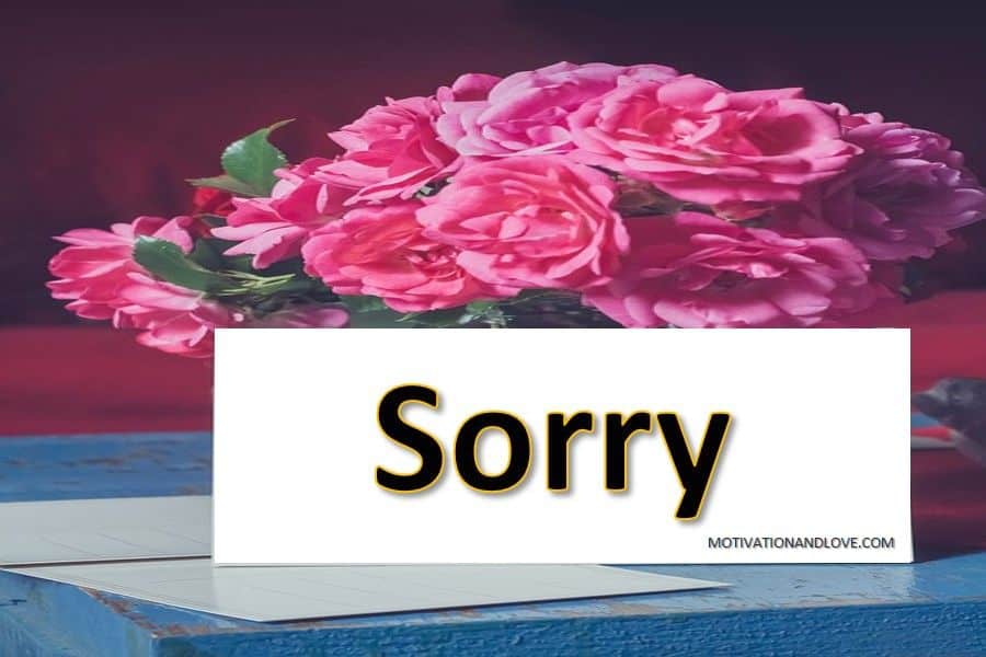 Apology Message to Boyfriend