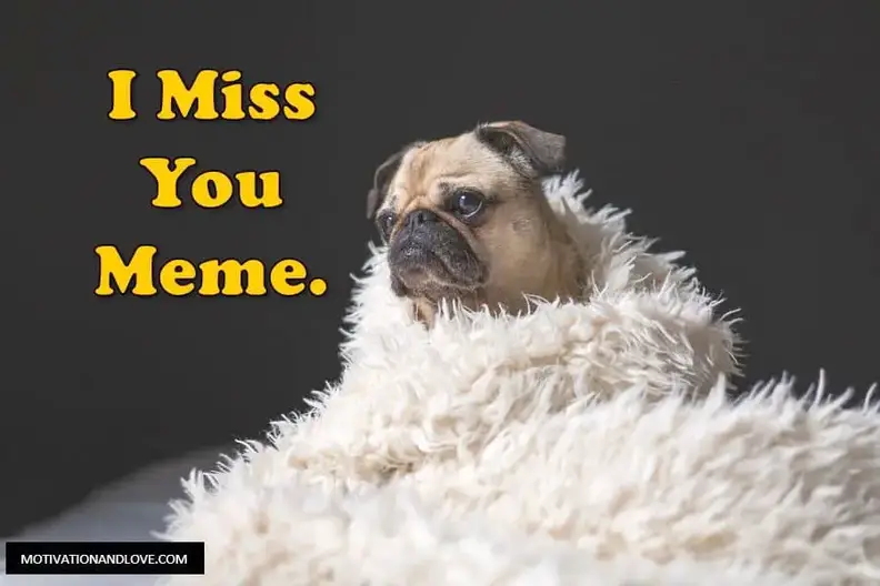 2023 Funny Miss You Memes for Him or Her - Motivation and Love