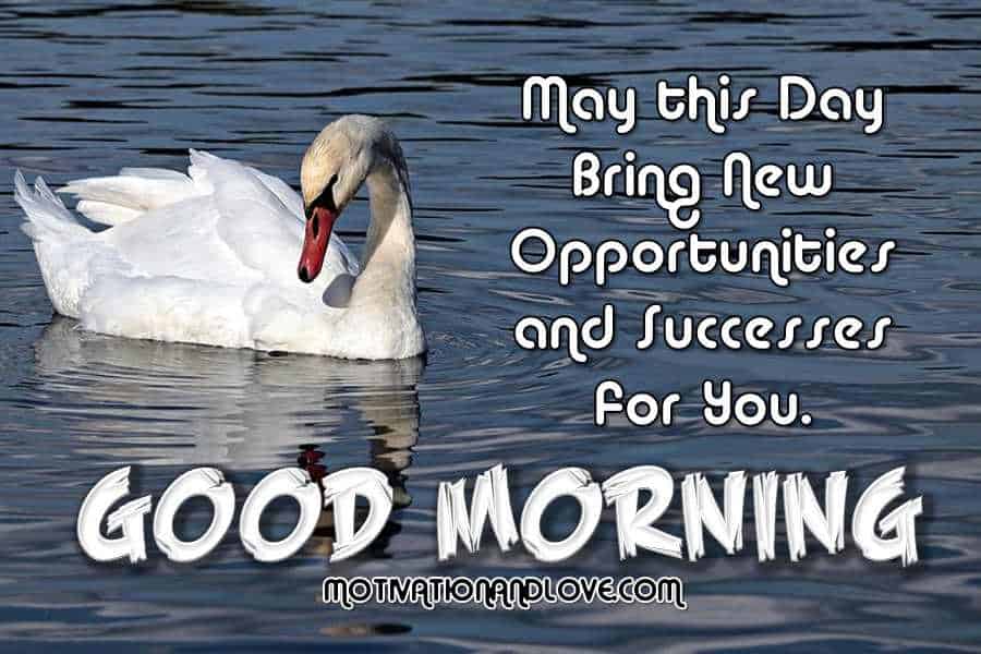 Good Morning Greetings to a Friend