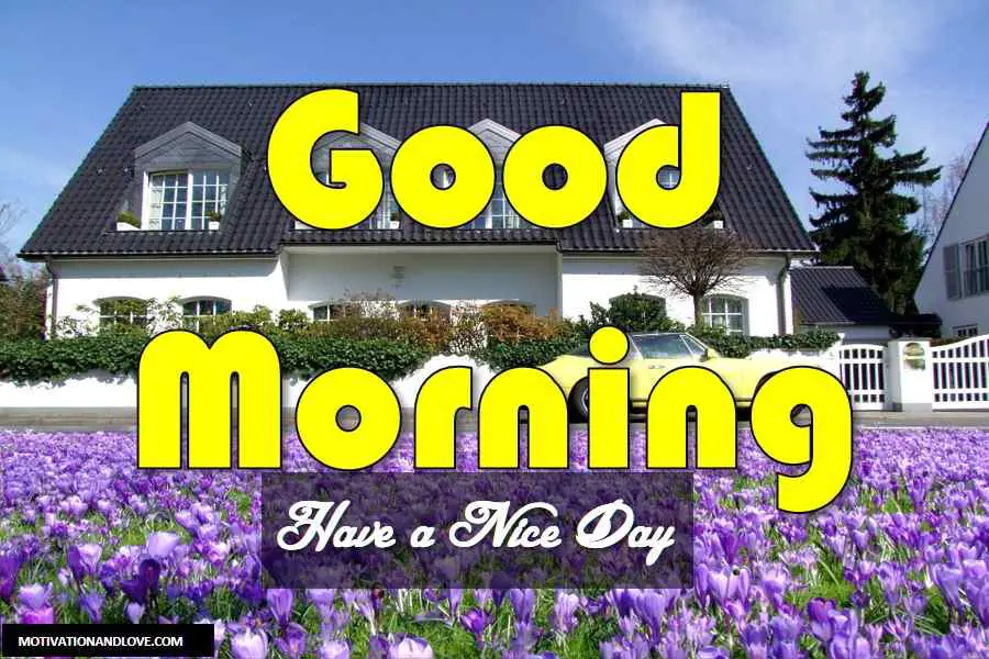 2020 Trending Good Morning Have A Nice Day Messages Motivation