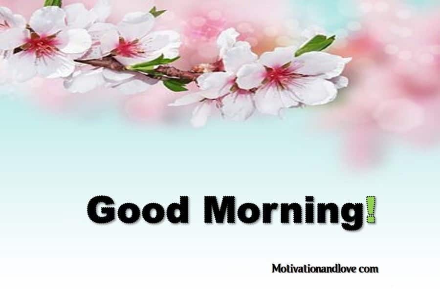 cute good morning paragraphs for him cute good morning paragraphs for him