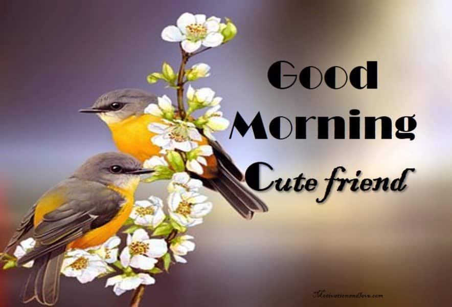 Good Morning Quotes for Friendship