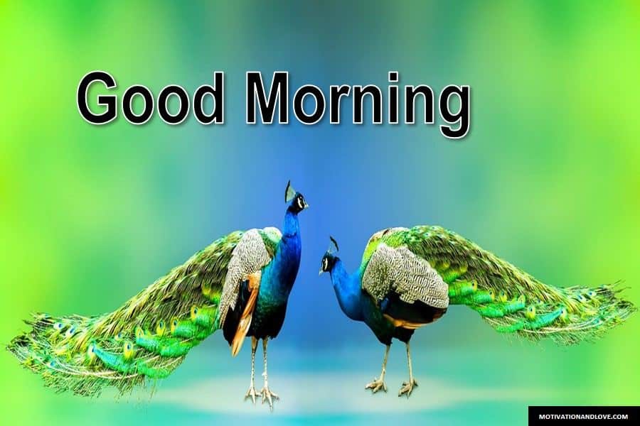 Good Morning Sms For Best Friends