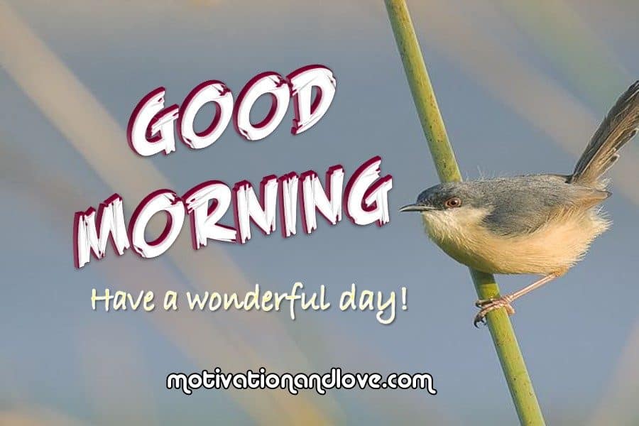 2020 Best Good Morning Sweetheart I Love You Quotes Wishes