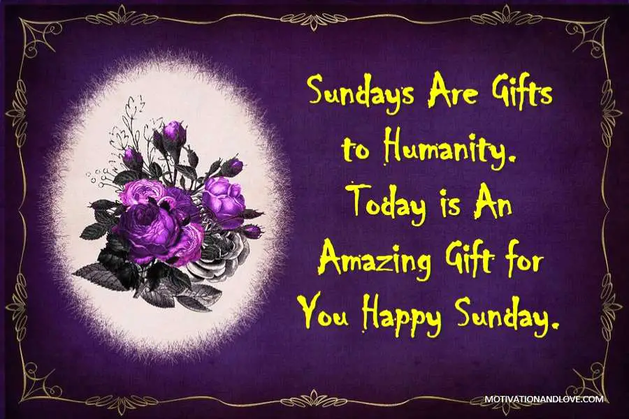 Happy Sunday Gift to Humanity