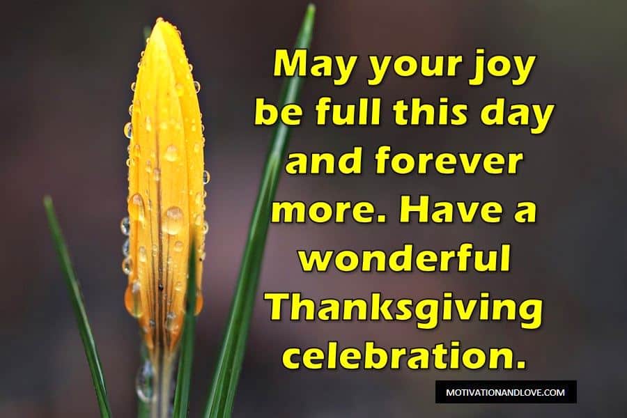 Happy Thanksgiving Wishes