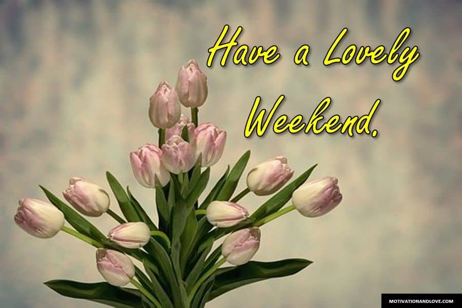 2020 Best Happy Weekend Messages Ever Motivation And Love