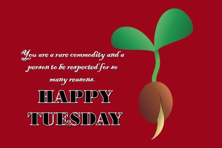 Have a Blessed Tuesday