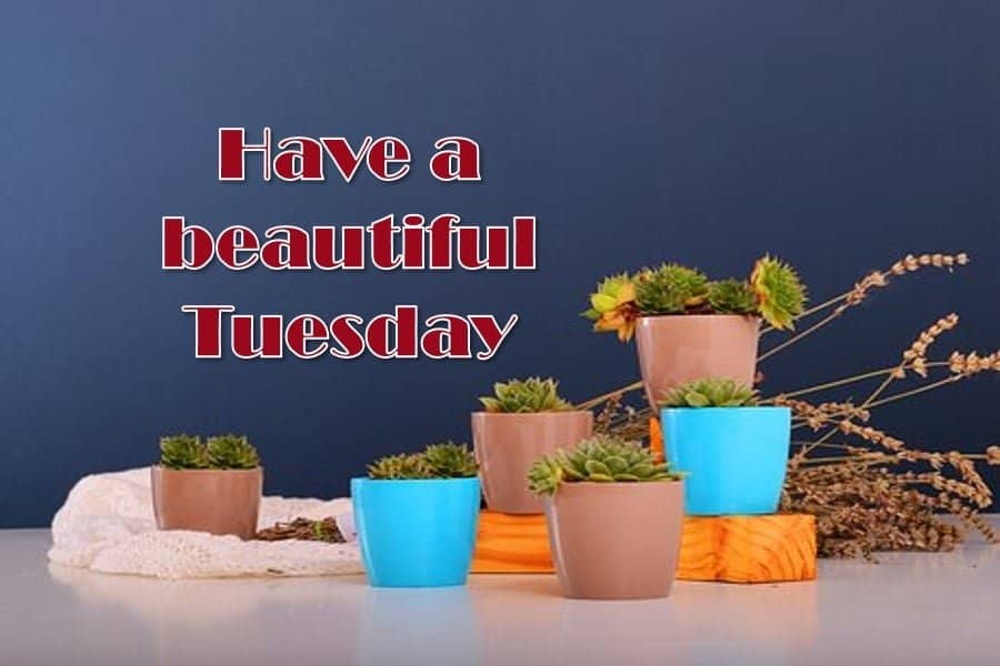 Have a Blessed Tuesday