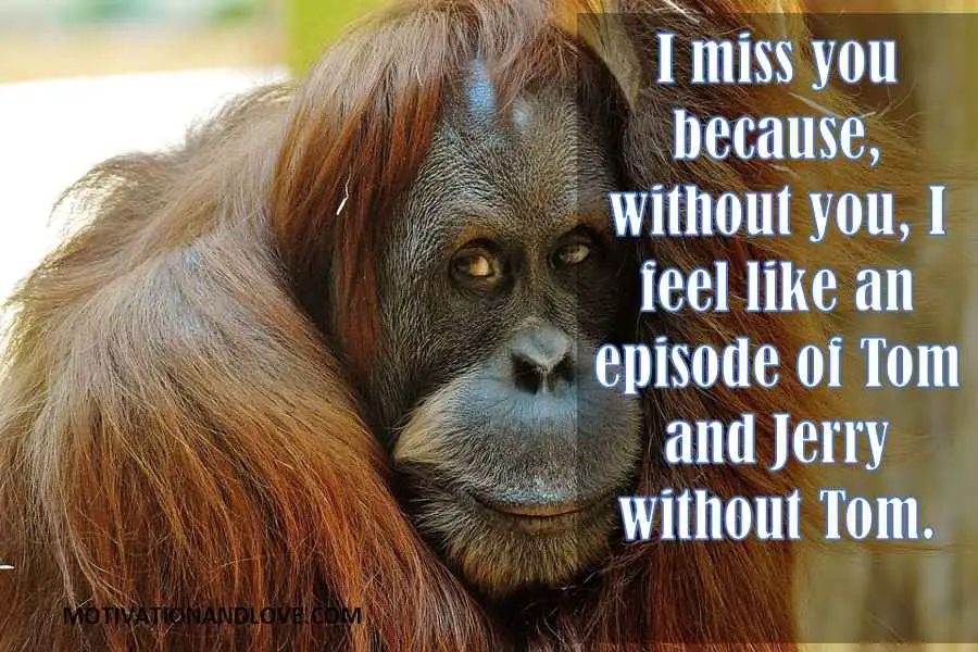 I miss you because, without you