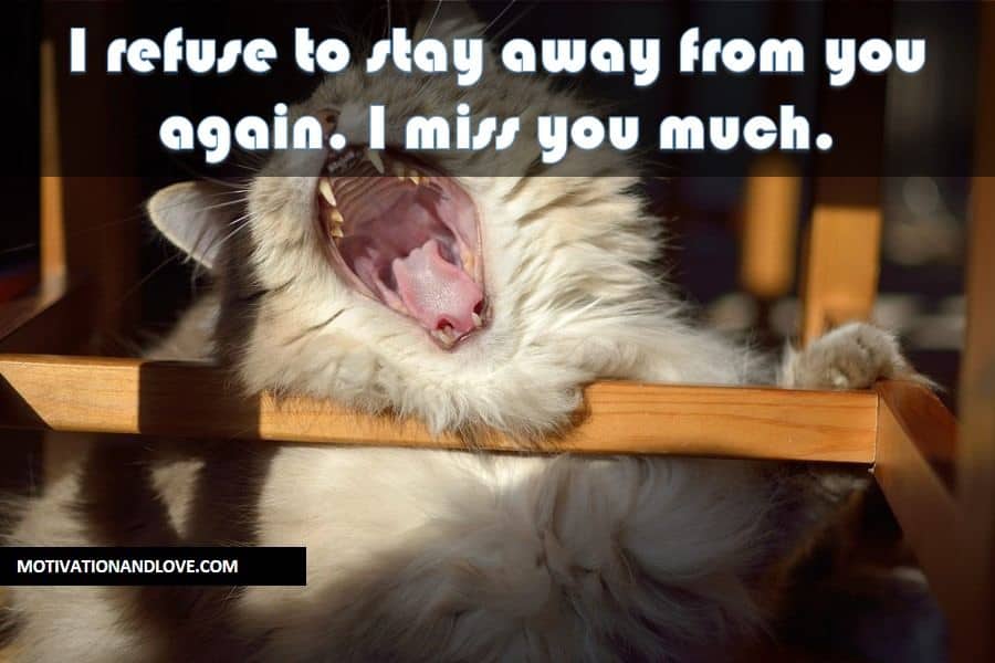 I Miss You Memes