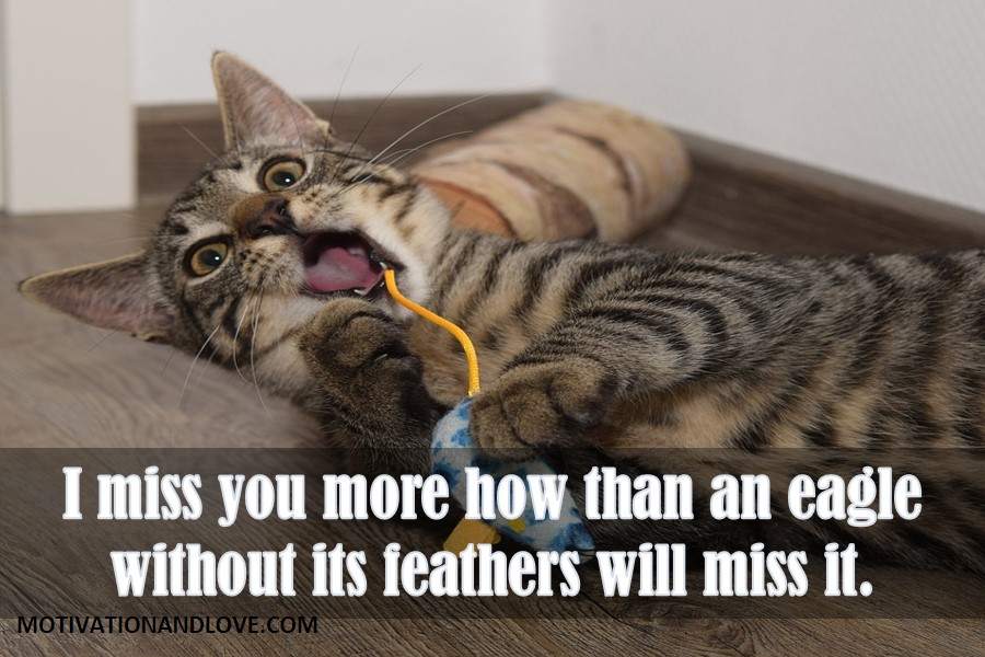 2021 Funny Miss You Memes For Him Or Her Motivation And Love
