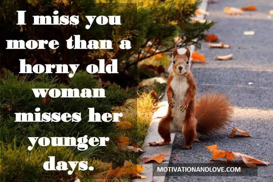 I miss you more than a horny old woman 