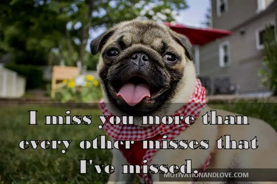 I miss you more than every other misses