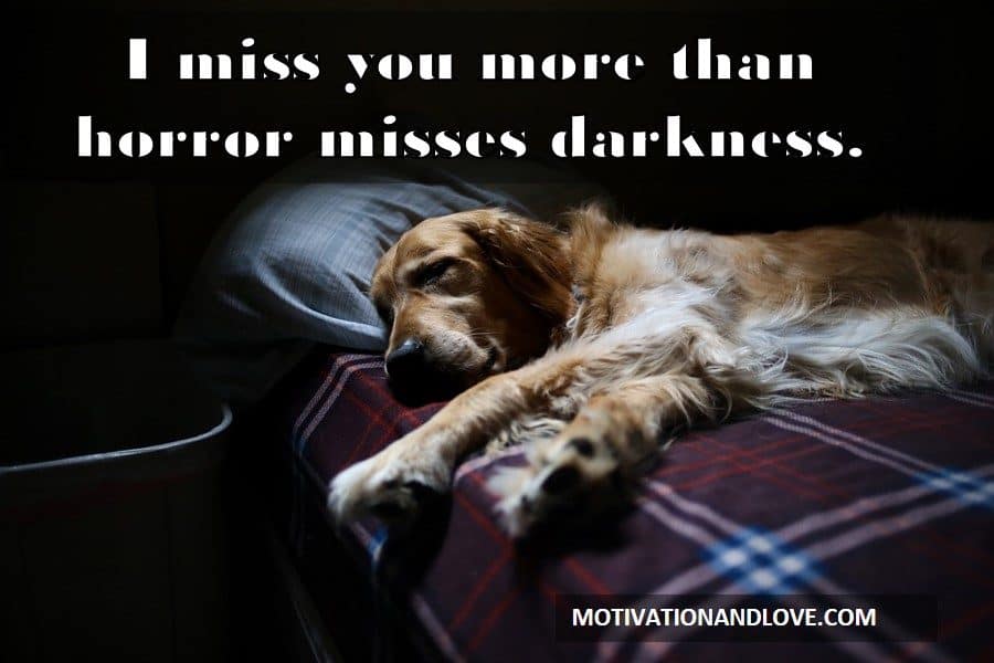 I miss you more than horror misses 