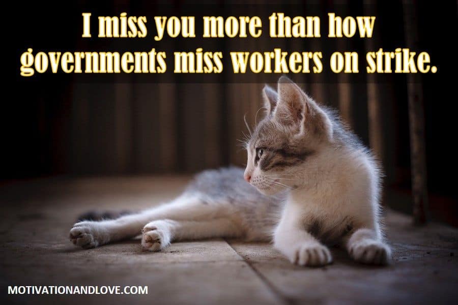 I miss you more than how governments 