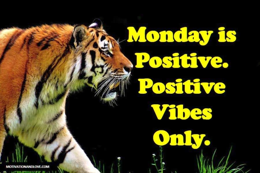 25 Best Memes About Positive Monday Meme Positive Monday Memes Images