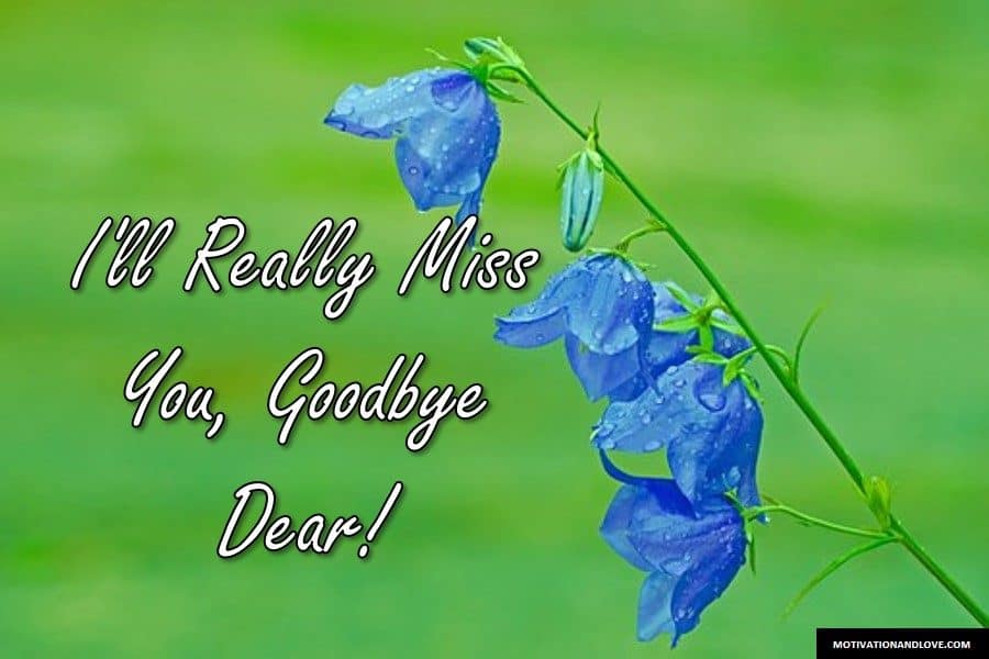 2019-best-wishes-for-saying-goodbye-to-a-friend-who-is-moving-away