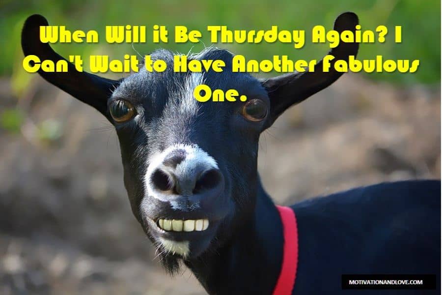 Thursday Meme Another Fabulous One