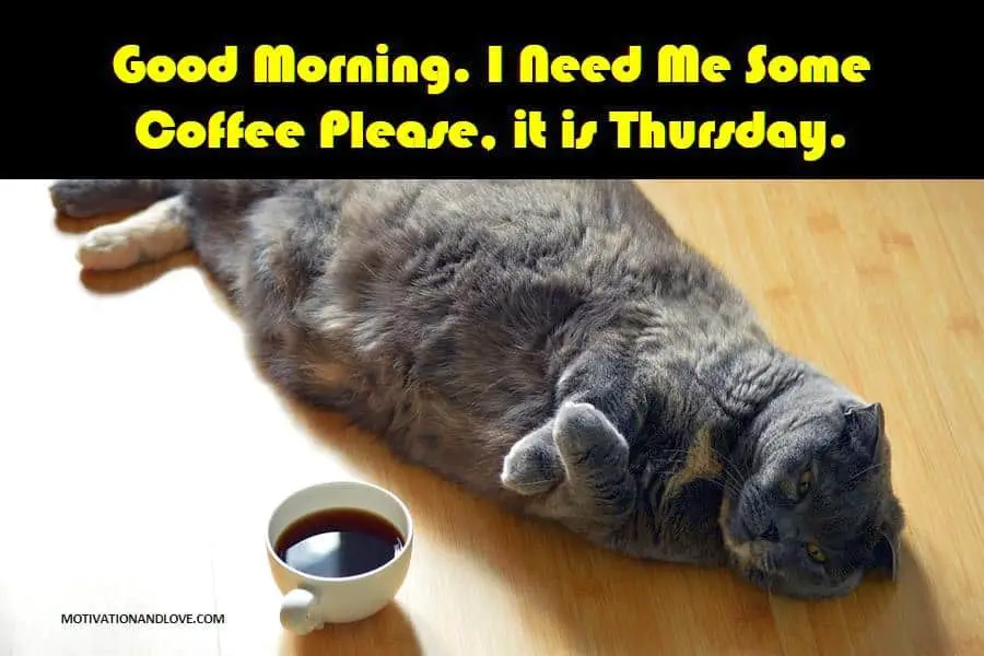 Thursday Meme Coffee Please