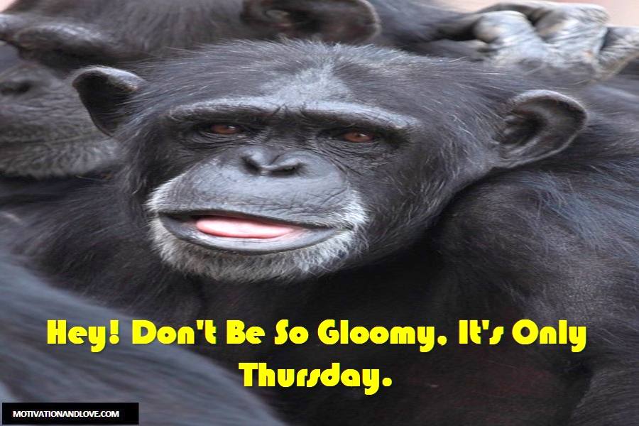 Thursday Meme Don't Be So Gloomy