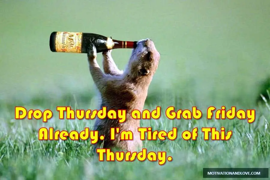 Thursday Meme Drop Thursday