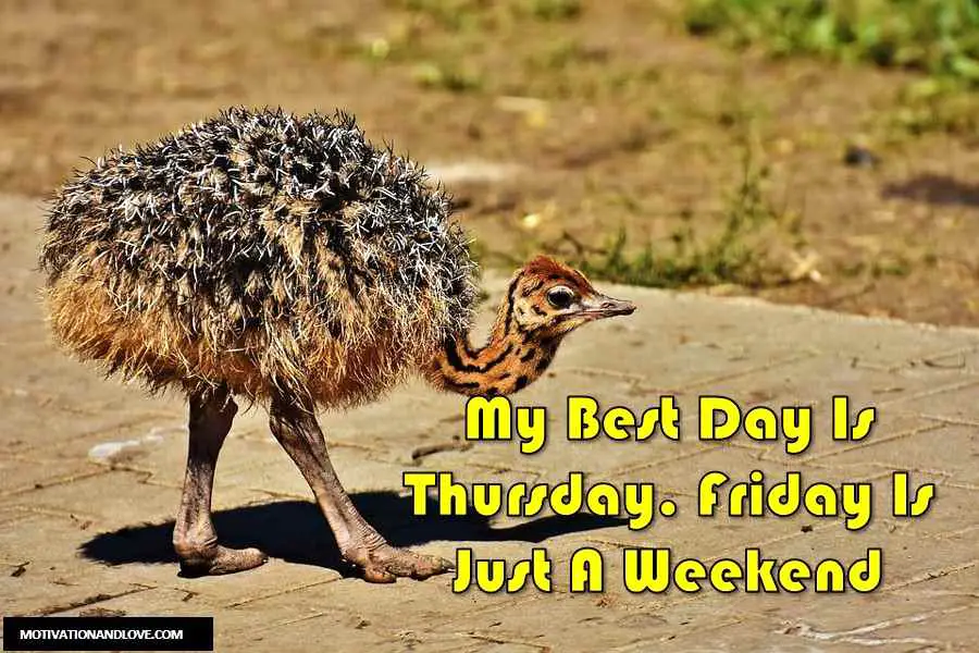 Thursday Meme My Best Day 