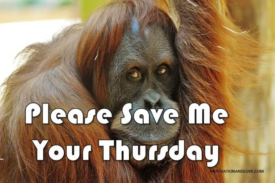 Thursday Meme Save Your Thursday