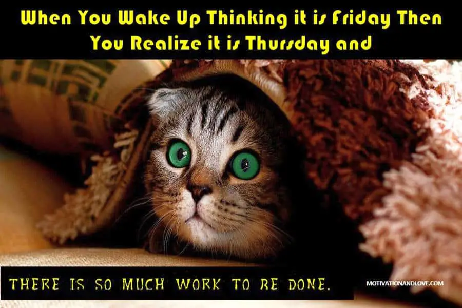 Thursday Meme So Much to Be Done