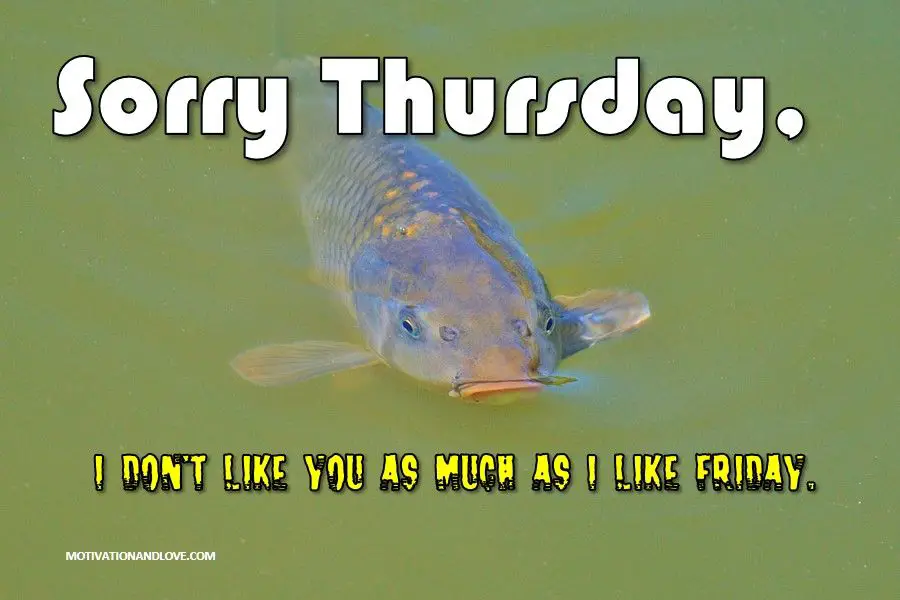 Thursday Meme Sorry Thursday