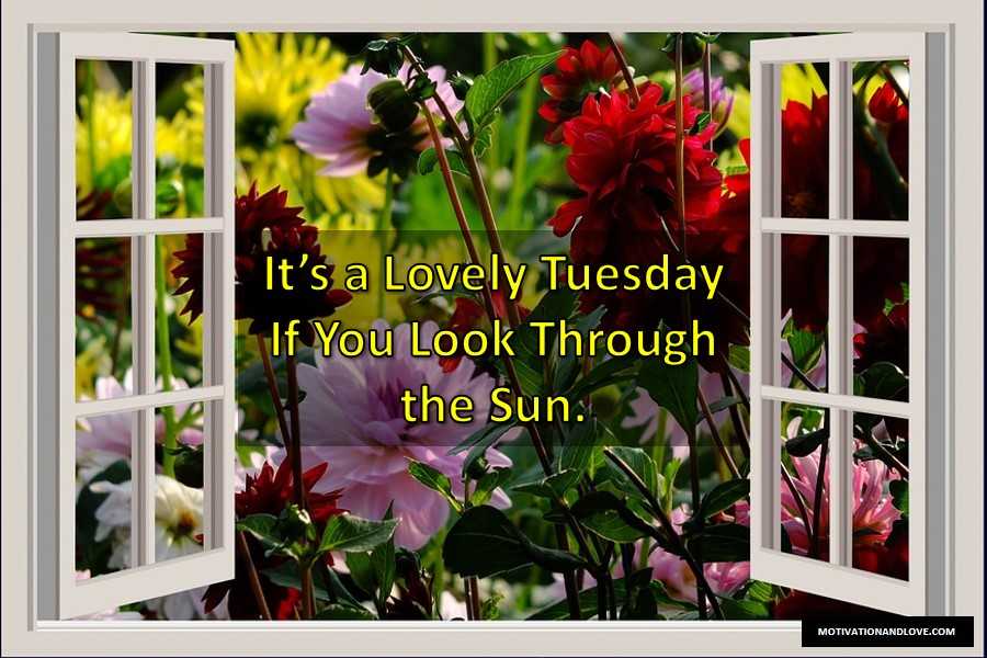 120 Best Happy Tuesday Good Morning Messages For 2020