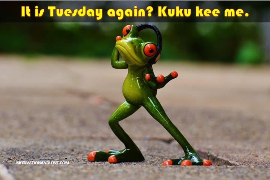 Tuesday Meme It is Tuesday again