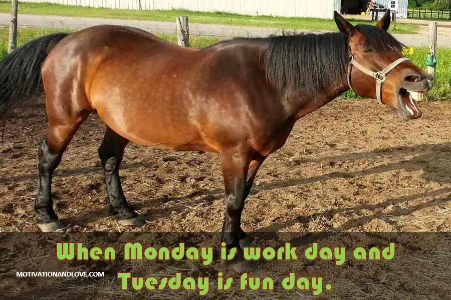 Tuesday Meme  When Monday is Work Day