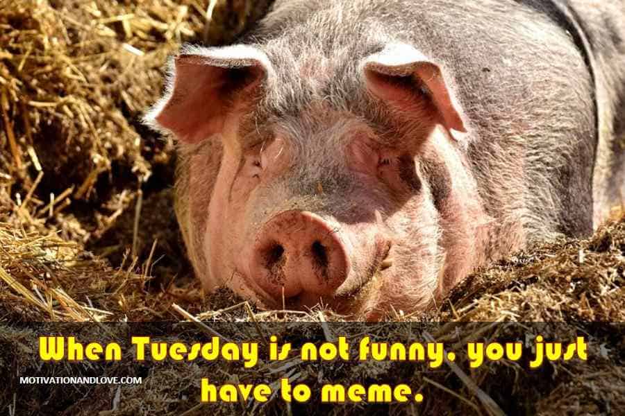 Tuesday Memes Work Funny / It's Only Tuesday? Monday Took So Long