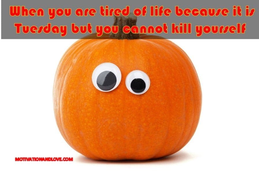 Tuesday Meme When you are tired of life because it is Tuesday 