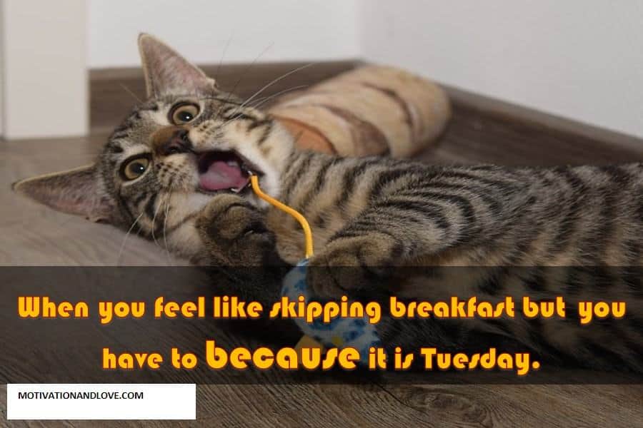 Tuesday Meme When You Feel Like Skipping Breakfast