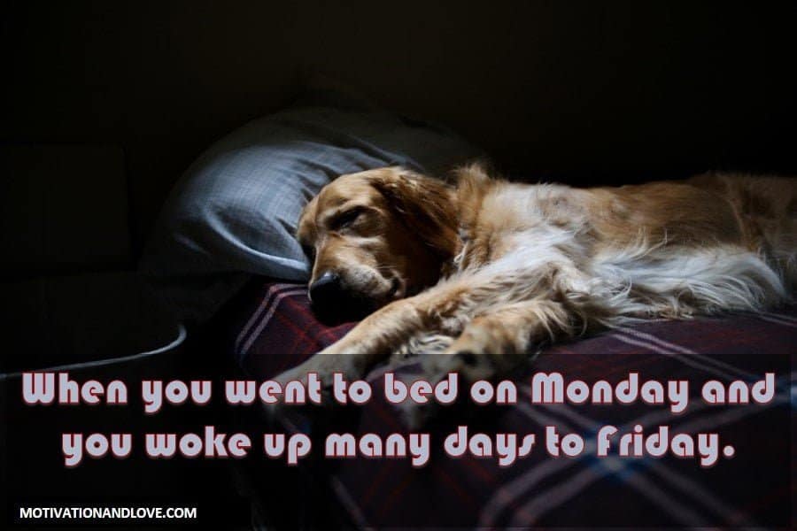 Tuesday Meme When you went to bed on Monday 