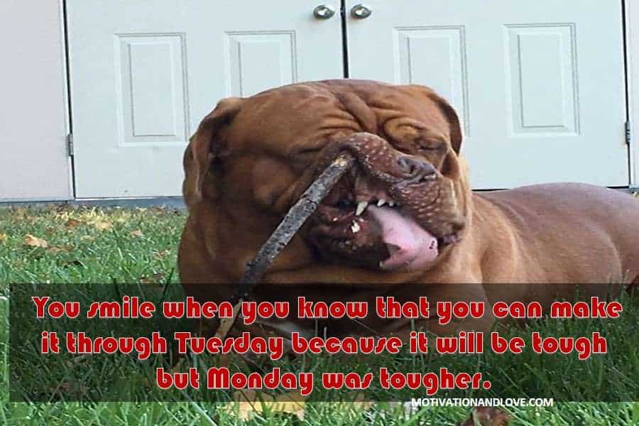 Tuesday Meme You smile when you know that you can make it through 