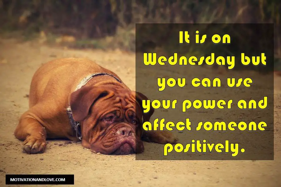 Wednesday Meme Affect Someone Positively