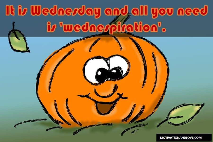 Wednesday Meme All You Need