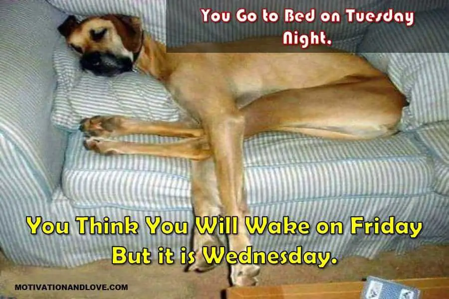 Wednesday Meme Bed on Tuesday Night