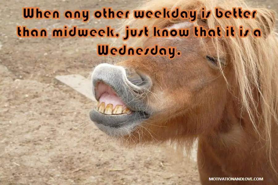 Wednesday Meme Better Than Midweek