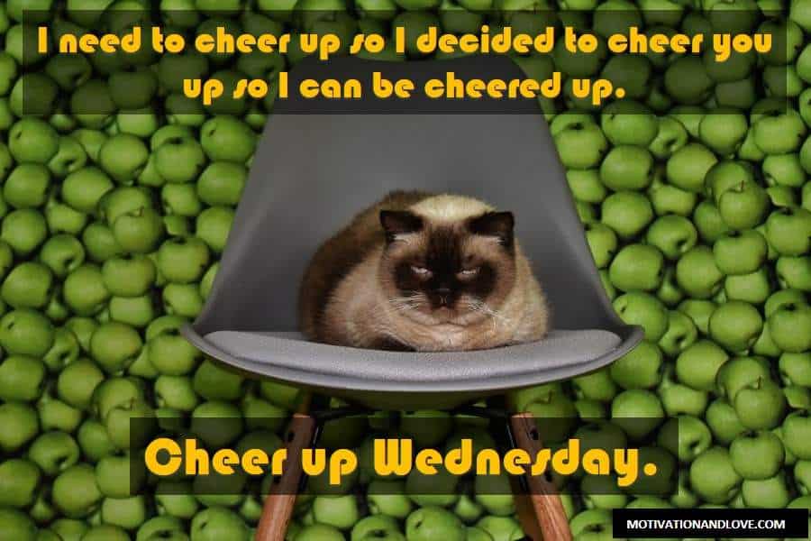 Wednesday Meme Cheer Up Wednesday