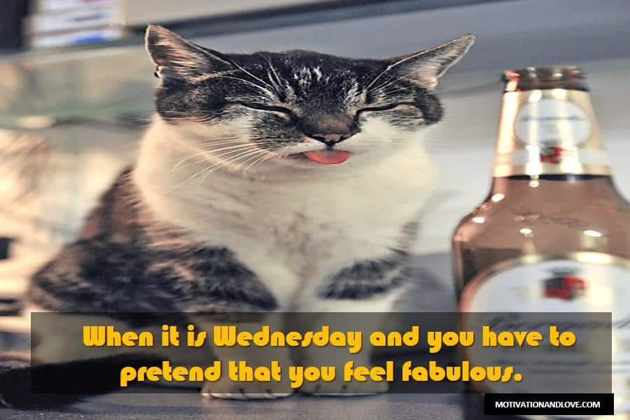 Wednesday Meme Feel Fabulous
