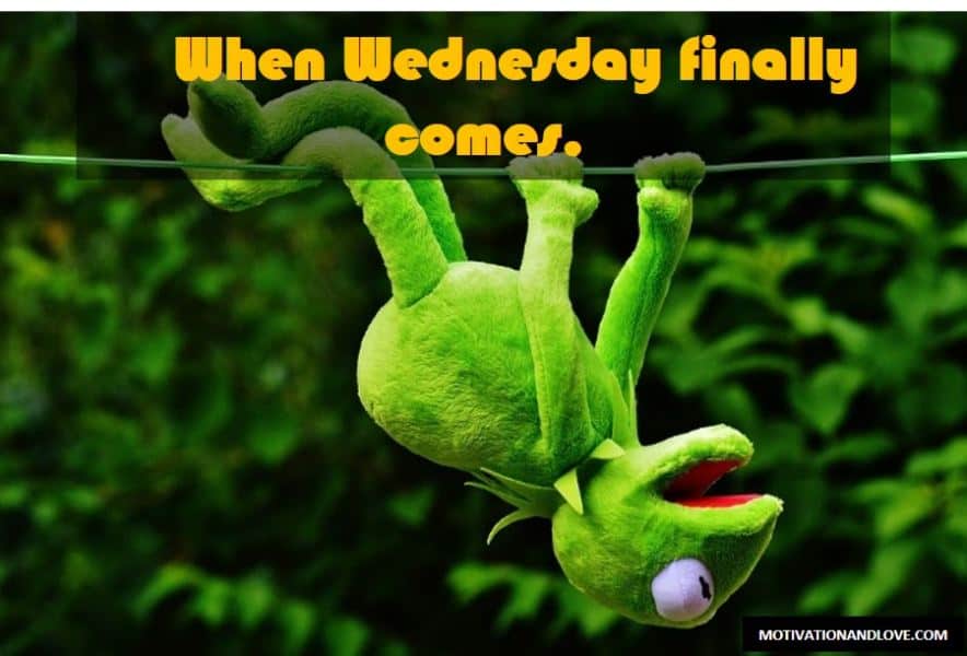 Wednesday Meme Finally Come