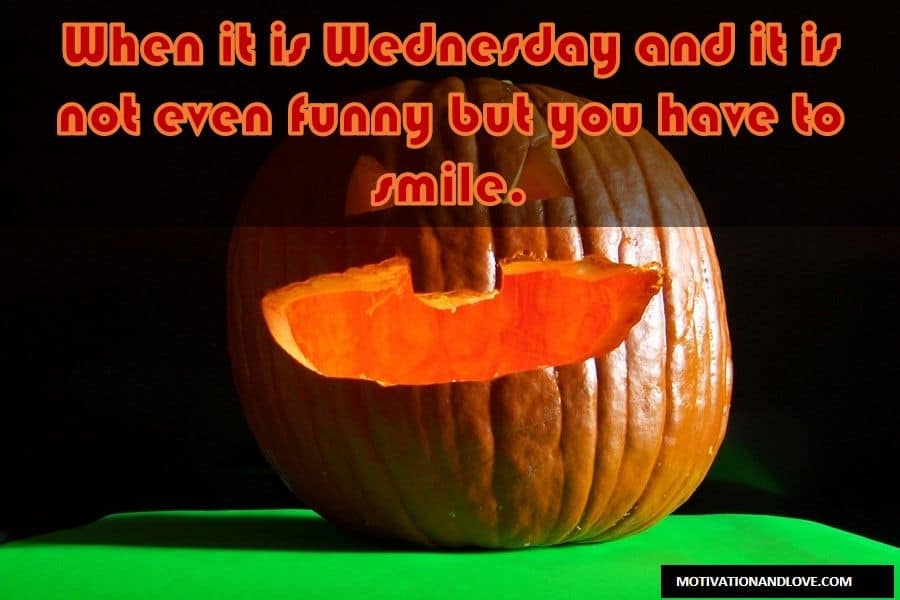 Wednesday Meme Have to Smile