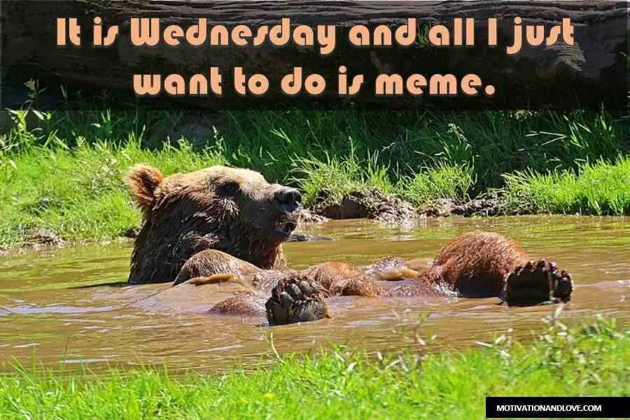 Wednesday Meme I Just Want