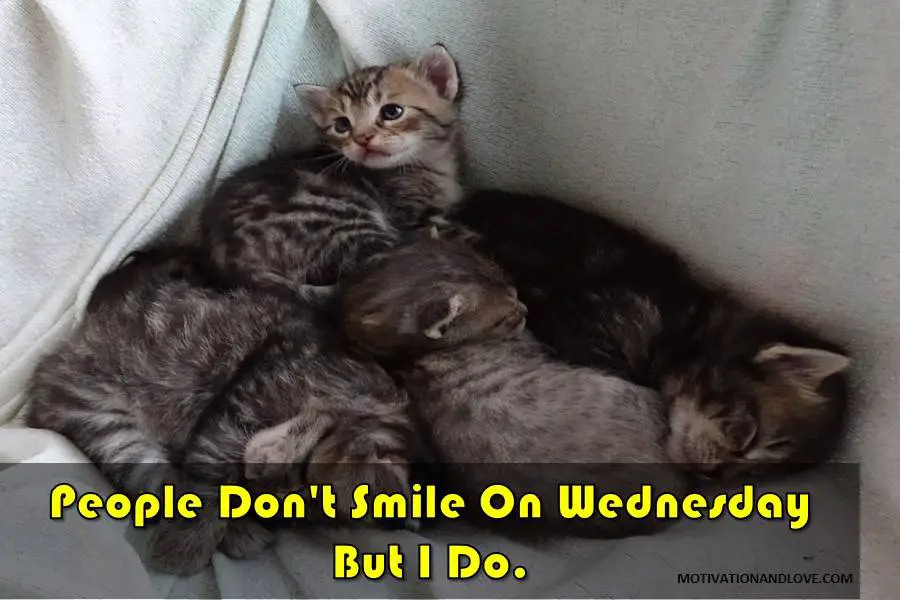 Wednesday Meme People Don't Smile