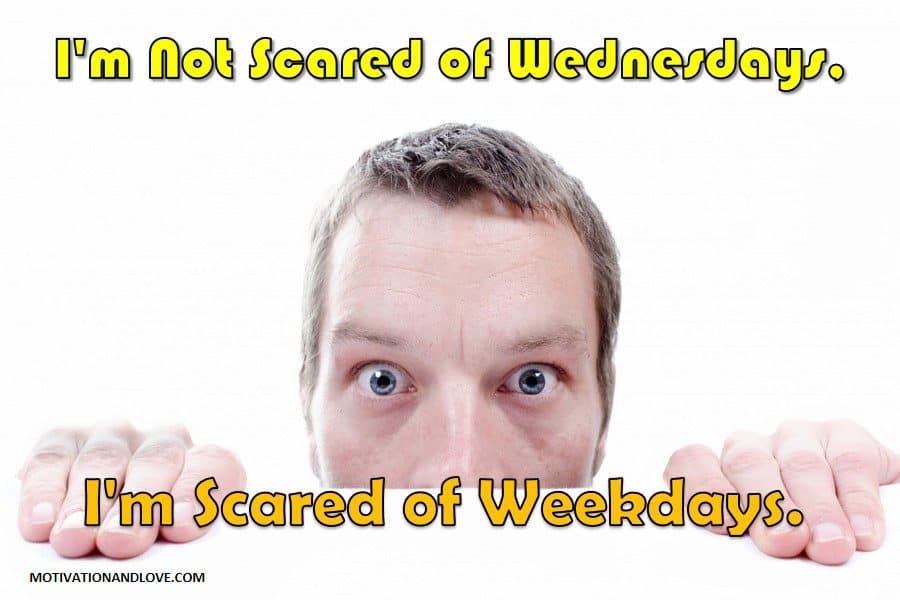 Wednesday Meme Scared of Wednesday