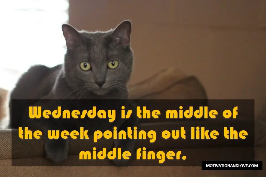Wednesday Meme The Middle Finger